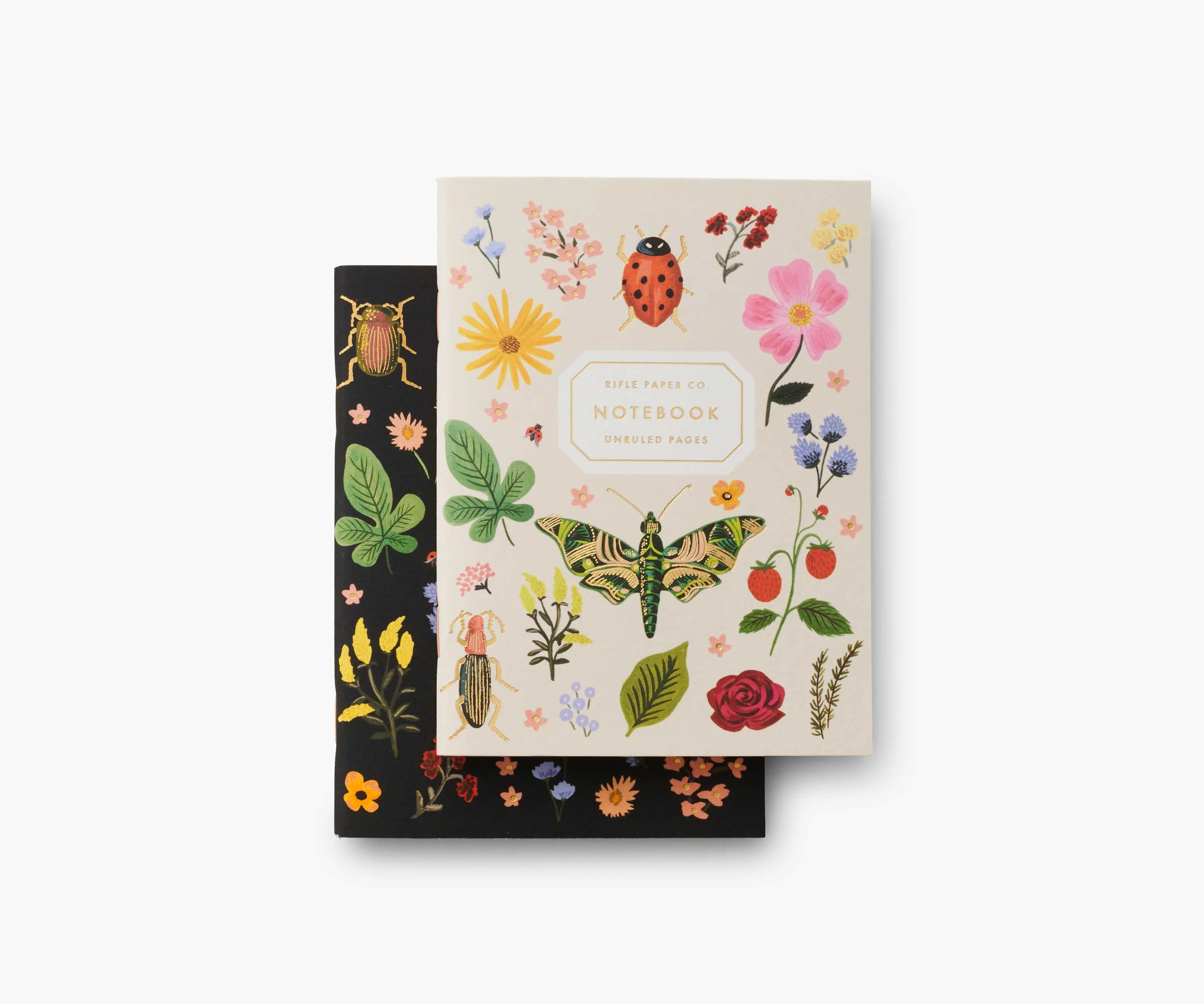 Pocket Notebook Set - Curio