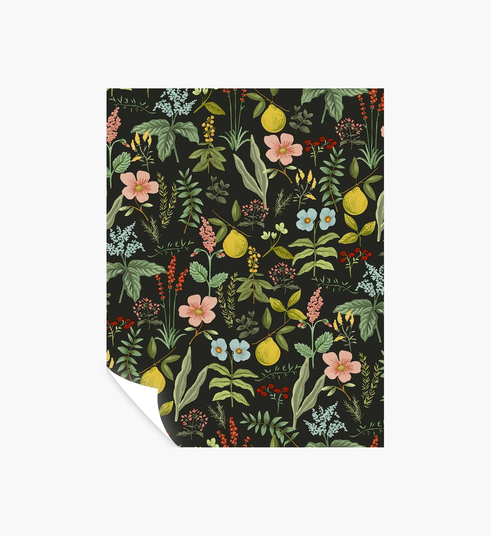 Herb Garden Peel & Stick Wallpaper Sample - Black