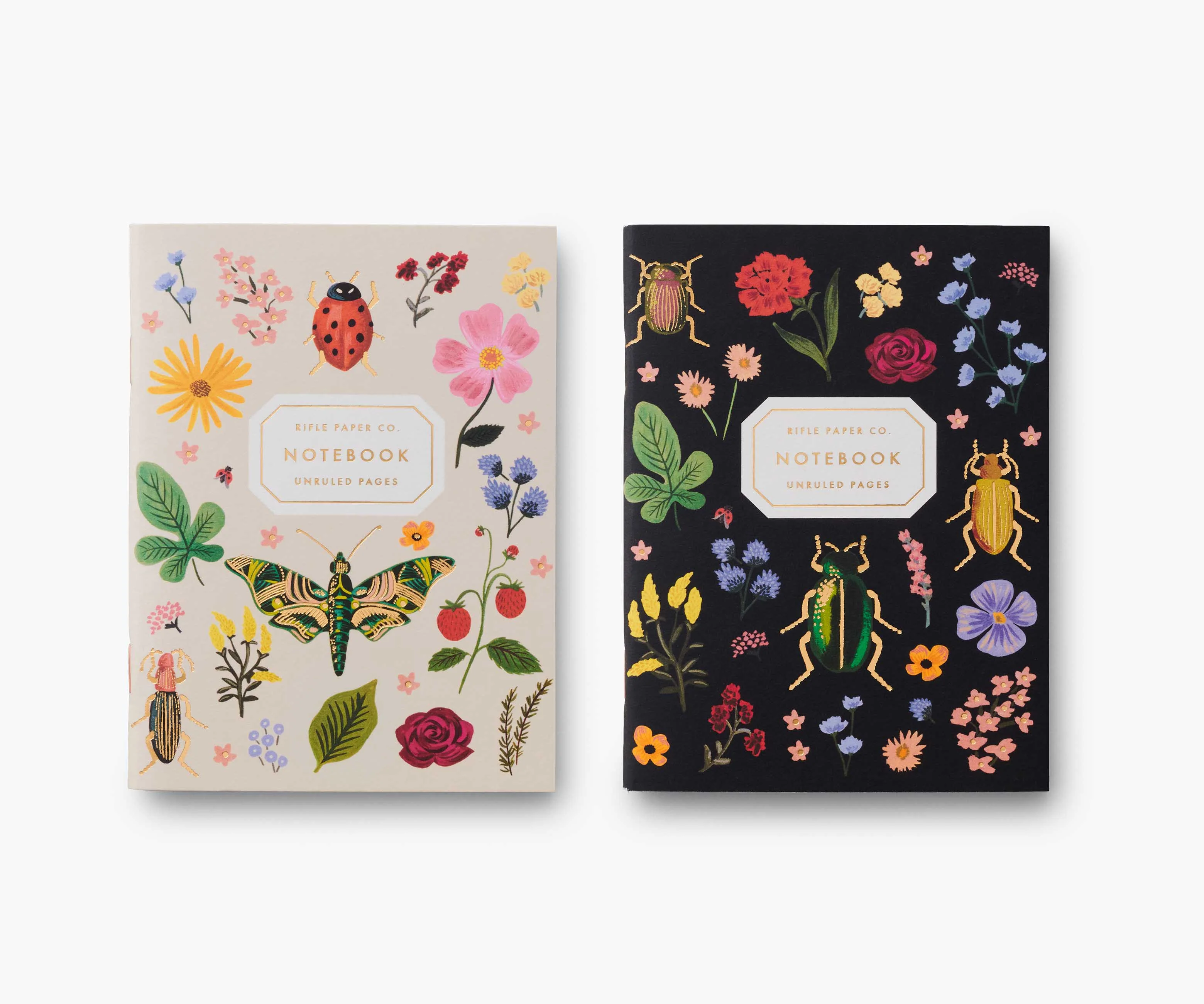 Pocket Notebook Set - Curio