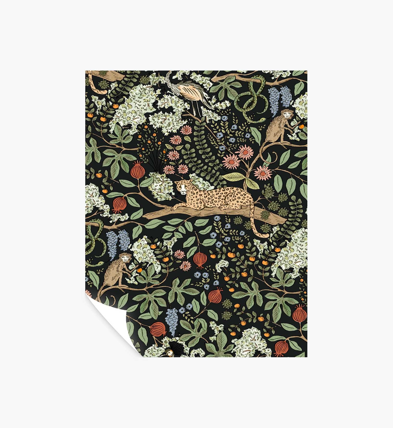 Safari Peel & Stick Wallpaper Sample - Black